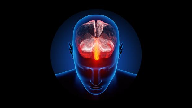 cerebro foto kN1E 620x349abc