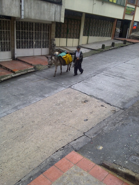 IMG-20110513-00607